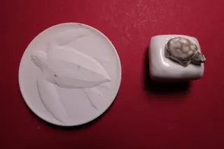 Links: Medaillon mit Lederschildkröte (die das sehr beachtliche Meeresmuseum symbolisiert), anläßlich 750 Jahre Stralsund 1234 - 1984, Durchmesser 6,5 cm. Rechts: Schildkrötchen, bemalt, auf quadratischem Sockel; beide Teile stammen aus der Porzellan-Manufaktur Meissen.