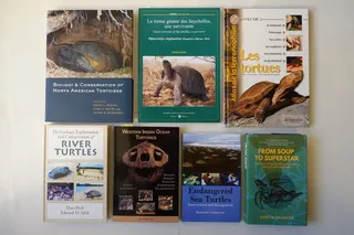 Titelseiten internatioaler Bücher.