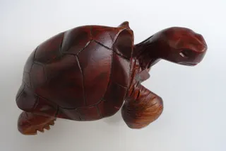 Motiv ist eine Riesenschildkröte, mitgebracht aus Puerto Ayora (Insel Santa Cruz), Tropenholz, handgeschnitzt, Größe 14 cm. Die charakteristischsten Tiere des Archipels sind die bis zu 250 kg schweren Schildkröten, deren Panzerform zum Teil an einen Sattel erinnert. Das spanische Wort für Sattel lautet Galapago - so kamen die Inseln zu ihrem Namen. Am Rand des Städtchens befindet sich die Darwin Research Station, die viele Riesenschildkröten beherbergt.