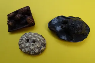 Drei handgeschnitzte Objekte, nach 1900, links: 7 Schildkröten sitzen in einem Korb (Holz), mittig: Zierknopf mit der Struktur einer Sternschildkröte (

Elfenbein), rechts: Netsuke mit Schildkröte auf einem Lotosblatt, sign. (Buchsbaum).