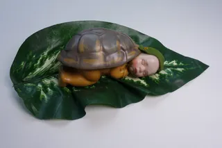 Baby, geschützt unter einem Schildkrötenpanzer, Wachs, handgeformt und bemalt, sign., Größe 27 cm (mit textilem Blatt).