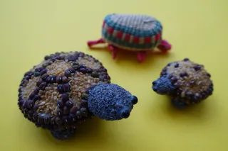 Schildkröten, gebastelt aus Gewürzen bzw. geflochten aus mehrfarbigem Garn.