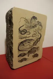 Alter Lithographie-Stein von ca. 1850, natürlich ein Unikat, Format 22 x 16 cm, ca. 9 cm dick. Es gibt nur einen Abzug von Franz Hoke ("Suche: Hoke"). Der Künstler des Motivs ist nicht bekannt. Lithographie oder Steindruck ist das älteste Flachdruckverfahren und somit der Urvater dieser Drucktechnik. Die dafür eingesetzten Plattenkalke kommen aus der Umgebung von Solnhofen, sind ca. 150 Mio Jahre alt und gelten international als bedeutende Fossillagerstätten (berühmtes Beispiel: der Archaeopteryx, ein urtümlicher Vogel und Brückentier zu Dinosauriern). Dieses ungewöhnliche Objekt habe ich über Andreas Brahm (Chimaira, Frankfurt) erhalten, ebenso wie zahlreiche weitere Werke. Wegen dieser Verdienste ist er in der Danksagung meines Sammlungs-Kataloges ausdrücklich genannt (wie u.a. auch Alexander Lauterwasser, "Suche : Lauterwasser").