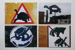 Diese Schilder wurden auf den Galapagos-Inseln (Ecuador) fotografiert. Die Charles-Darwin-Forschungsstation (Eröffnung 1964) betreibt ein Züchtungsprogramm für bedrohte Riesenschildkröten, mit erfolgreichen Auswilderungen. Besonders bekannt wurde "Lonesome George", der allerdings trotz großer Bemühungen 2012 ohne Nachwuchs starb.