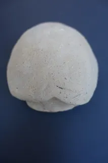 Objekt handgetöpfert, naturbelassen, Vorbild war ihre eigene Schildkröte, Größe 14 cm.