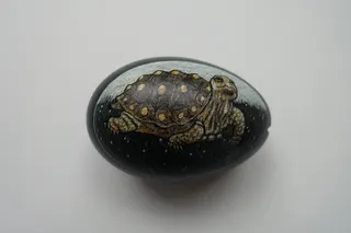 Auftragsarbeit, Hühner-Ei, schwarz grundiert (Tusche), liebevoll mit einer Sternschildkröte bemalt (Ölfarben) und gewachst, sign., Größe 6,5 cm. Solche Eier werden immer mal wieder zu den Ostertagen präsentiert.