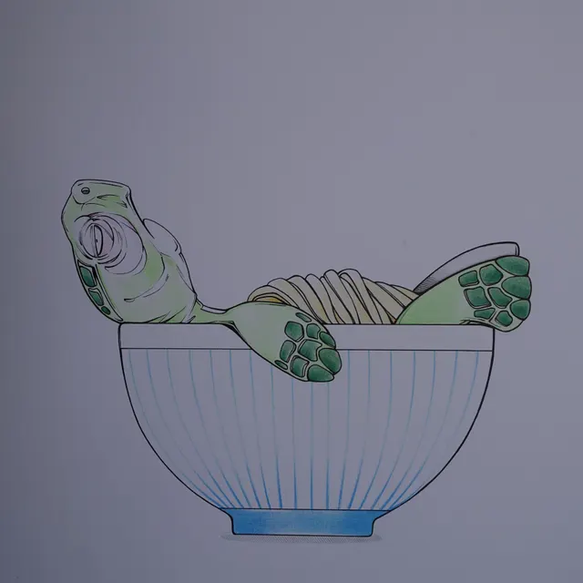 Suppenschildkröte (#08524)