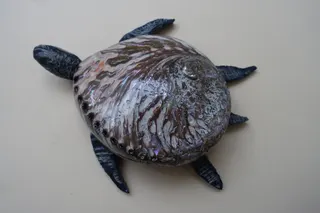 Selbstgetöpferter Unterbau (Größe 19 cm), als Schildkrötenpanzer wurde hier eine Meeresschnecke aus Neuseeland verwendet, Abalone oder Seeohr genannt (Größe 19 cm), mit einer besonders schönen Oberflächenstruktur, die Innenseite ist mit silberfarbenem Perlmutt überzogen.