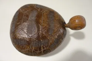 Zwei Hälften einer Kokosnuß ergeben den Corpus, die Einritzungen das Panzermuster. Der Kopf aus Holz ist beweglich aufgehängt und die Holzfüßchen sind im Boden eingesetzt, als Dose nutzbar, eher Handwerk als Kunst, Größe 17 cm. Ein kleiner Fund auf "Tollwood".