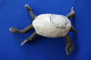 Schlangenhals-Schildkröte, handgetöpfert, Rakubrand, sign., Größe 34 cm.
