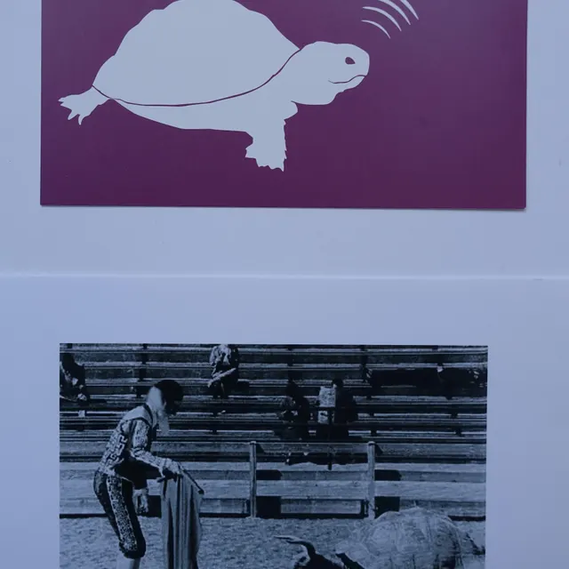 Sammelobjekt #08019