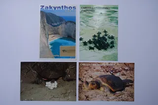 Vier Postkarten von Zakynthos, Griechenland. An den wenigen Sandstränden der Insel legen die stark gefährteten Unechten Karettschildkröten (Caretta caretta) ihre Eier ab. Es war ein großes Erlebnis, bei Laganas Schlüpflinge zu beobachten. Der Weg vom Nest zum Meer ist häufig lebensgefährlich. Trotz einiger Anstrengungen reichen die Schutzmaßnahmen noch nicht. Das Foto links oben gilt als das bekannteste Motiv der Insel.