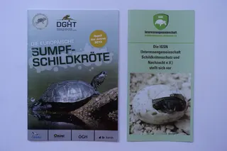 Zwei deutsche Organisationen (DGHT bzw. IGSN) und deren gute Magazine, die sich seit langem für den Artenschutz von Schildkröten engagieren. Das Heft links umfasst 40 Seiten (DIN A 5). Die DGHT führt auch internationale Jahrestagungen durch, langjährige Partnerorganisationen sind ÖGH, Karch, NABU und BUND. Nebenbei: der offizielle Weltschildkrötentag findet jährlich am 25. Mai statt.